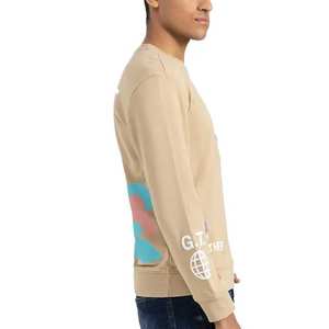 Custom Embroidered Streetwear Blank Heavy Pullover Sweatshirt 100% Cotton Plain <b>Thick</b> Round Neck Sweater <b>Hoodies</b> <b>for</b> <b>Men</b> - Product Image 2