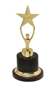 Coupe de trophée en métal de championnat pour le cricket, récompense sportive, objet de collection, cadeau commémoratif pour le gagnant du tournoi et les événements de club - Product Image 3