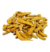 Meilleur extrait d'herbes de curcuma indien 100 % pur et naturel de qualité supérieure, jaune Haldi, pour la cuisine, exportateur, extraction par solvant