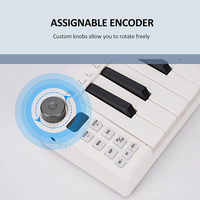 Professional Digital Electronic Piano Usb 25 Key Musical Instrument Midi Keyboard Controller