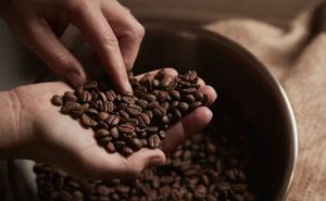 Café Robusta biologique torréfié moulu, qualité A+, marque TNFOOD, 100% naturel, certifié ISO 22000, Vietnam, durée de conservation de 24 mois, emballage plat - Product Image 3