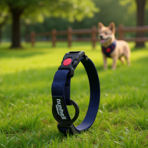 Collare per Animali Domestici Premium Bicolore Colore CIAN Elegante e Confortevole - Product Image 3