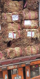 Cesta de picnic de jacinto de agua artesanal al por mayor de fabricación de Vietnam, producto estándar de exportación de alta calidad de Vietnam - Product Image 2