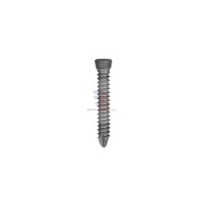 Vis de verrouillage orthopédique vétérinaire de vente chaude - Product Image 5