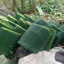 FEUILLES DE BANANE SÉLECTIONNÉES À LA MAIN POUR PLATS TRADITIONNELS - Product Image 2