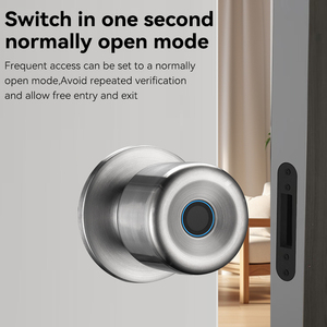 Cerradura Inteligente para Puerta con Huella Dactilar XSDTS CL03, Entrada sin Llave, <span class=keywords><strong>Digital</strong></span>, Funciona con Tuya Bluetooth, Cerradura Inteligente de un Solo Pomo - Product Image 4