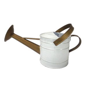 Arrosoir solide à double poignée en métal avec arrosoir fini blanc de forme ovale de qualité supérieure pour la maison et le jardin - Product Image 1
