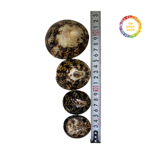 Conchas de Lapa vibrantes para ajustes de decoración, proyectos de hogar y Espectáculos de arte - Product Image 4