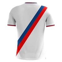 T-shirt décontracté pour homme à manches courtes et col en V, motif uni, coton/polyester, vêtements de sport, course à pied, impression numérique personnalisée