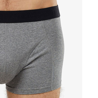 2024 hommes Sexy bref sans couture sous-vêtements respirant taille basse sous-vêtements mode hommes bas pantalon sous-vêtements pour la vente OEM