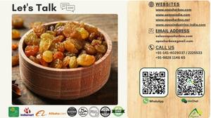 Pasas Doradas Indias, Proveedor Mayorista de Pasas Doradas, Marca Apex de Rajasthan - Product Image 4