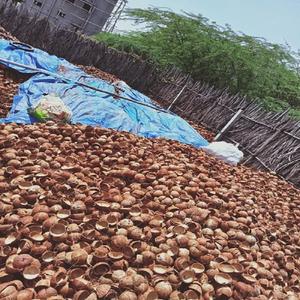 Cáscaras de Coco para Velas, Decoración del Hogar, Naturales, Origen Estadounidense, Resistentes al Agua, Listas para Usar, Entrega Rápida, Calidad Premium, 2 Años de Vida Útil - Product Image 5