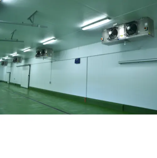 Voll automatischer kunden spezifischer modularer Kühlraum für industrielle Zwiebeln mit PU-Isolier platte für Obst und Gemüse