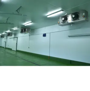 Fully Automatic Customized Modular Industrial Onion Cold Storage Room with PU Insulated Panel for Fruit & Vegetable
