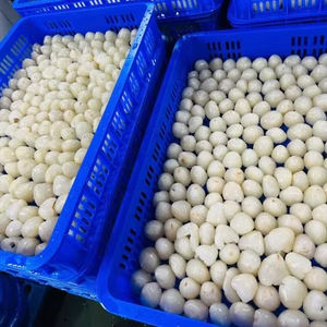 ลิ้นจี่แช่แข็งคุณภาพสูง | การเก็บเกี่ยวสด | อุปทานจำนวนมาก - Product Image 1