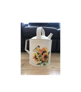 Farmhouse-style Galvanized Metal <b>Water</b> <b>Can</b> Featuring Bright Enamel Floral Patterns <b>for</b> <b>Gardening</b> and Ornamental Purposes - Product Image 1