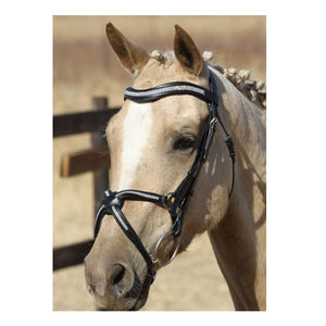 Nouvel équipement d'équitation réglable bride de cheval en cuir de vachette collier de tête équipement de collier de tête accessoires équestres OEM - Product Image 6