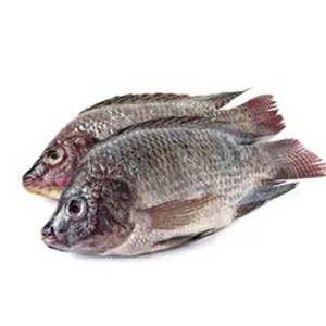 Cabeza de salmón congelada, pescado de salmón entero, mejor oferta de precio - Product Image 2