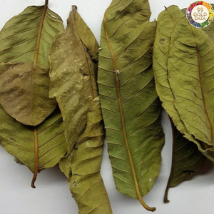 Feuilles de goyave séchées de qualité supérieure, provenance Vietnam, pour une extraction de thé fluide et l'amélioration de l'arôme alimentaire - Product Image 3