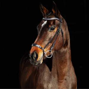 Remont Bride-COB-Black Horse Snaffle Cuir Bride Fabricant Dressage Anatomique Snaffle Cuir Indien - Product Image 1