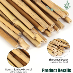 Precio más barato palitos de bambú de Vietnam palos de bambú redondos de buena calidad para plantas - Product Image 2