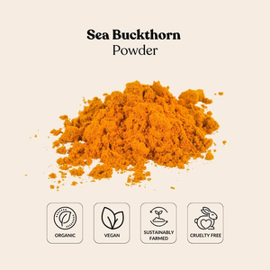 Biển cây hắc mai đóng băng bột khô nhà máy bán buôn số lượng lớn đóng băng khô cây hắc mai biển bột - Product Image 2