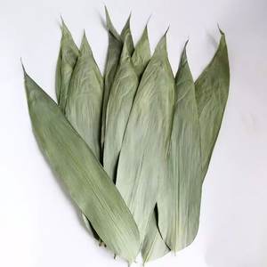 LE MEILLEUR PRIX NATUREL VIETNAM FEUILLES DE BAMBOU SÉCHÉES/MS LAURA - Product Image 4