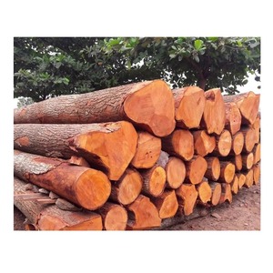 Bûches de bois d'acajou de haute qualité pour la fabrication et la construction de meubles - Product Image 4