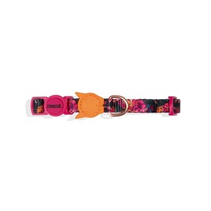 Farm Rio Selva Classic Western Dog <b>Collar</b> Breakaway Polyester <b>Pet</b> <b>Collar</b> with Lights Solid & Striped Print for Dogs - Product Image 1