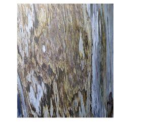 Application extérieure de carreaux translucides rustiques flexibles de placage de pierre d'ardoise naturelle 100% avec la finition translucide - Product Image 5