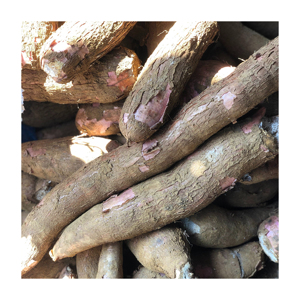 Almidón Industrial Sodio Carboximetil Almidón Cmc para Fabricación de Papel Masilla Polvo Pintura - Product Image 2