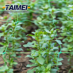 오이를위한 식물성 10g 식물 지원 그물망 오이를위한 100% Vrigin HDPE <span class=keywords><strong>NET</strong></span> 지원 - Product Image 5