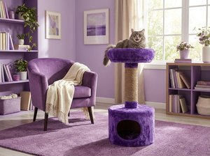 Maison pour chat Fiona Velvet Lounge avec un confort royal - Product Image 5