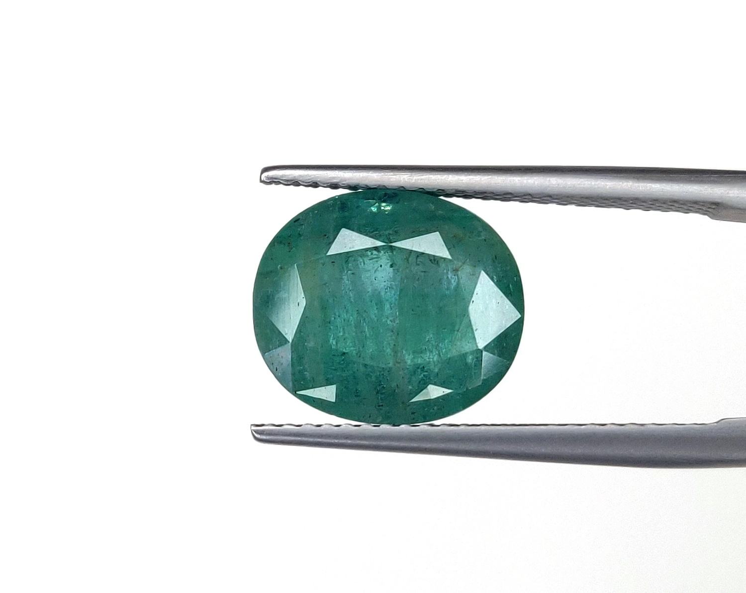 สีเขียวปานกลาง