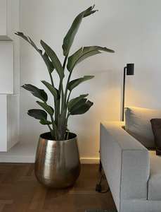 Jardinière décorative exceptionnelle en métal avec des sculptures élégantes conçues pour améliorer l'apparence des patios et des balcons des porches - Product Image 2