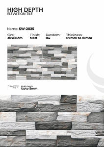 Carreaux muraux extérieurs en porcelaine 300x600mm pour façade - Product Image 5