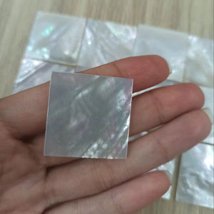 Coquille de nacre naturelle du Vietnam, source de nacre pour l'incrustation artistique, la décoration de luxe et la conception de mode - Product Image 1