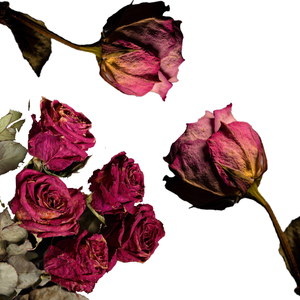 Fleur de rose séchée de qualité supérieure | Ingrédient floral pour soins du visage bio - Product Image 4