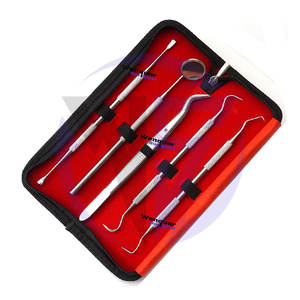 Nouveauté : Kit de 6 outils dentaires en acier inoxydable pour l'élimination du tartre et des taches, qualité supérieure, présenté dans un étui zippé. - Product Image 1