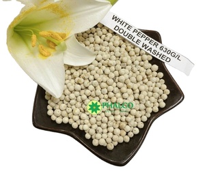 พริกไทยขาวเวียดนามขายส่งสำหรับส่งออก คุณภาพดี ราคาดีที่สุด - Product Image 3