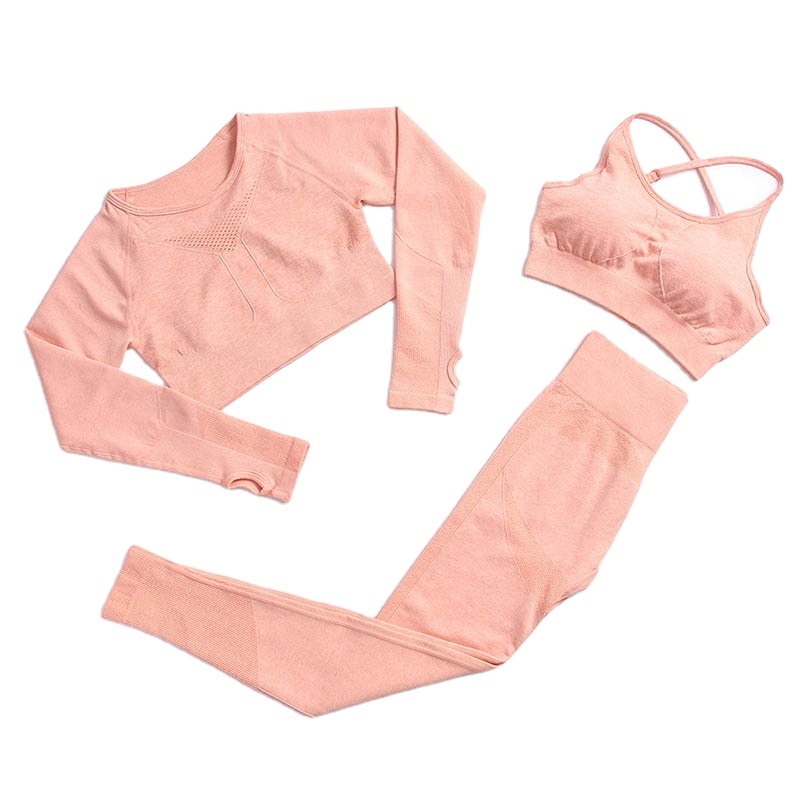Customer Logo Women's Solid 2 Piece Seamless Breathable Yoga Activewear Set Purple Long Sleeve Workout Fitness Sport Suit