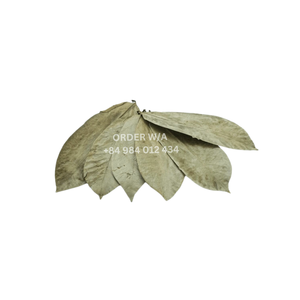 Graviola séché de haute qualité/feuilles de corossol prix d'usine meilleur produit agricole - Product Image 1