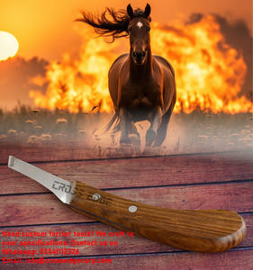 Manche en bois professionnel couteau à sabot outil maréchal-ferrant lame droite en acier inoxydable rasoir tranchant coupe sabots outil d'entretien des sabots - Product Image 4