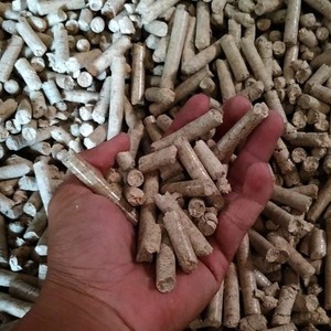 Membres Husk Vietnam Membres originaux Husk pour l'exportation Produit agricole des membres Husk par jour - Product Image 6