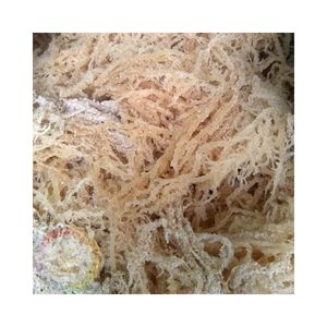 Algues marines séchées de qualité supérieure, algues cotonii, matière première pour usage culinaire et préparation industrielle en provenance du Vietnam - Product Image 2