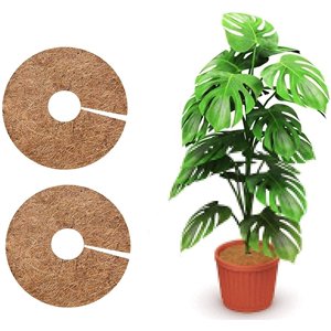 เสื่อควบคุมวัชพืช,เสื่อป้องกันวัชพืชทำจากใยมะพร้าวแบบไม่ทอสำหรับงานสวน - Product Image 3