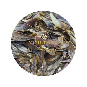 เครื่องหอมผลิตจากเวียดนาม murex opculum เปลือกธรรมชาติดิบรูปทรงเพรียวบางงานหัตถกรรมอะเมเลีย - Product Image 1