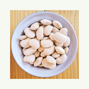 Frijoles blancos de Grado Superior Venta al por mayor Frijoles rojos de alta calidad a la venta a un precio - Product Image 1