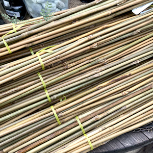 Offre Spéciale!! Hot Trending 2025 piquets en bambou/bâtons de canne en bambou pour la construction, l'agriculture, la décoration, le soutien - Product Image 5