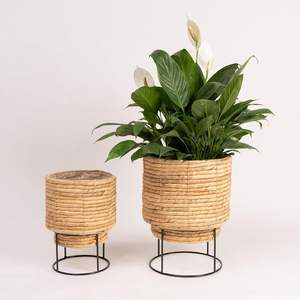 Maceta de Jacinto de Agua para Plantas de Interior y Exterior, Decoración Ecológica para Hogar, Jardín, Balcón y Oficina - Product Image 1